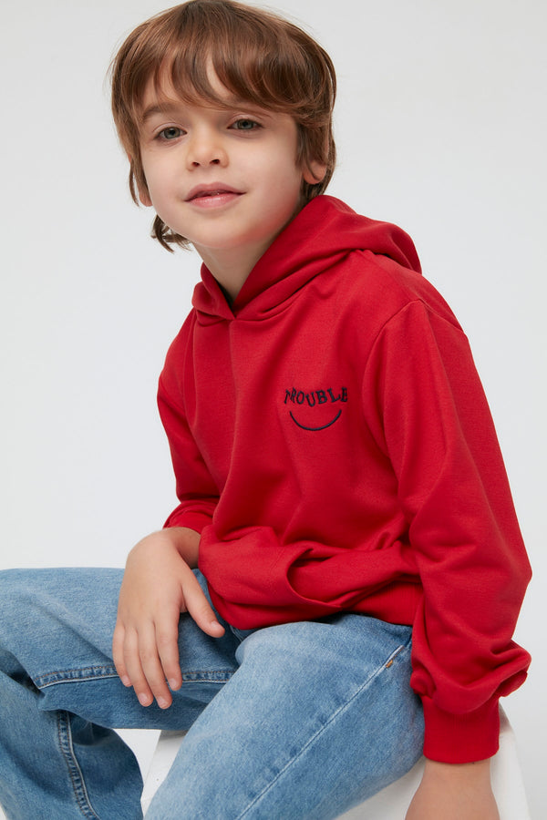 TRENDYOLKIDS Embroidered Basic Hoodie Boy Knitted Slim Sweatshirt TKDAW22SW0312