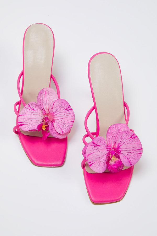 Shoes Women's Classic High Heels