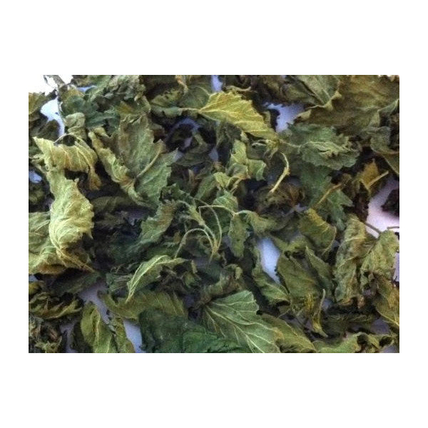 Nettle 500 Gr Organic (Naturally Dried, Sifted, Additive-Free)