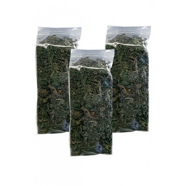 Nettle 3 Pack Nettle Tea Dried Nettle Plant Nettle Leaf Tea