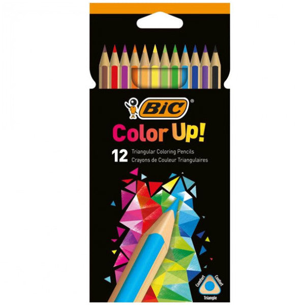 Bic Dry Paint Color Up 12 Pack 950527
