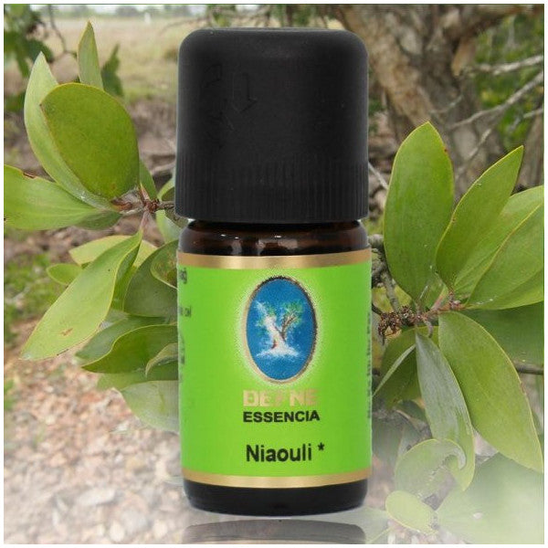 Nuka Defne Essencia Organic Niaouli Oil 5 Ml . Aromatherapy Essential Oil Skin And Care Oil