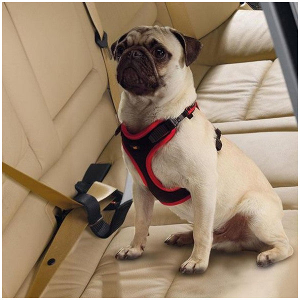 Ferplast Dog Travel Belt Vehicle Seat Belt