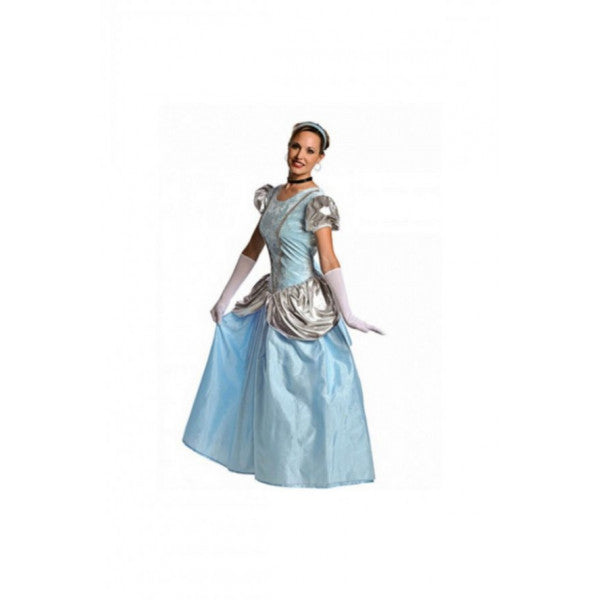 Cinderella Adult Women's Costume