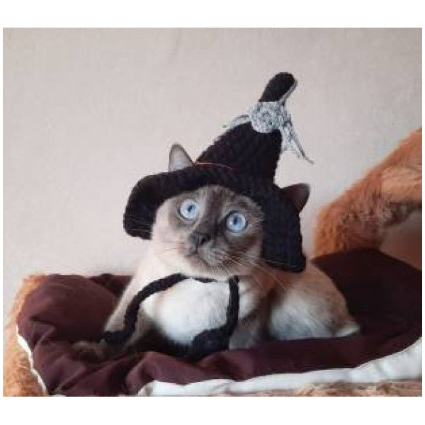 Halloween Special, Spider Hat Cat Hat & Accessory, Pet Fashion, Designer Product,Halloween
