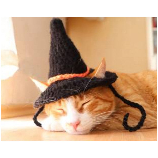 Harry Potter Halloween, Halloween, Cat Hat & Headgear, Antibacterial Rope, Phenomenon, PetFashion