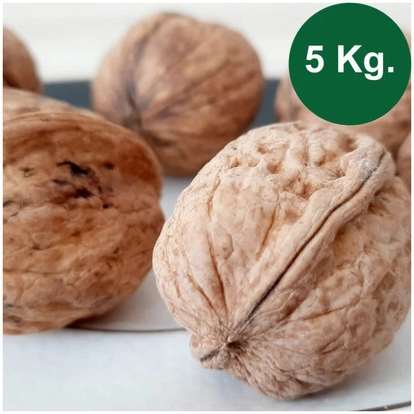 Shelled Walnuts 5 Kg