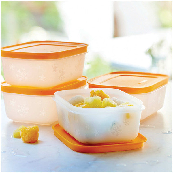 Tupperware Alaska Series Deep Freezer Storage Container Set Of 4