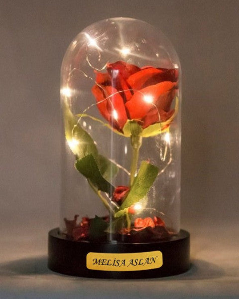 Personalized Valentine's Gift LED Illuminated Bell Jar Red Unfading Rose
