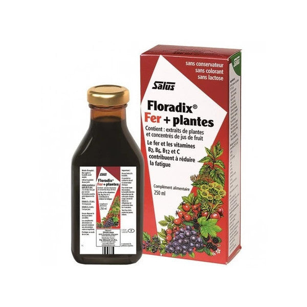 Floradix Iron And Vitamin Liquid Food Supplement 250 Ml