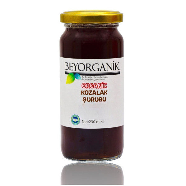 Beyorganik Organic Pine Cone Syrup 230 Gr