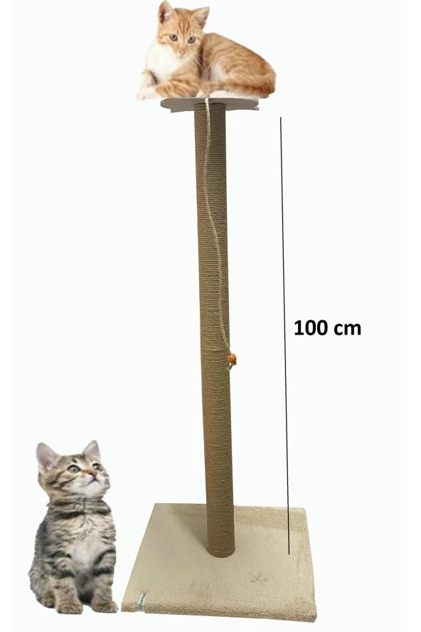 100 cm büyük kedi çizme sonrası