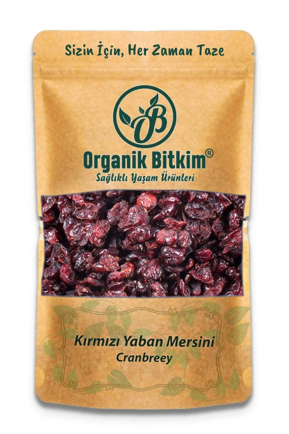 Organik Bitkim - Organic Seedless Dried Blueberry - 500 gr