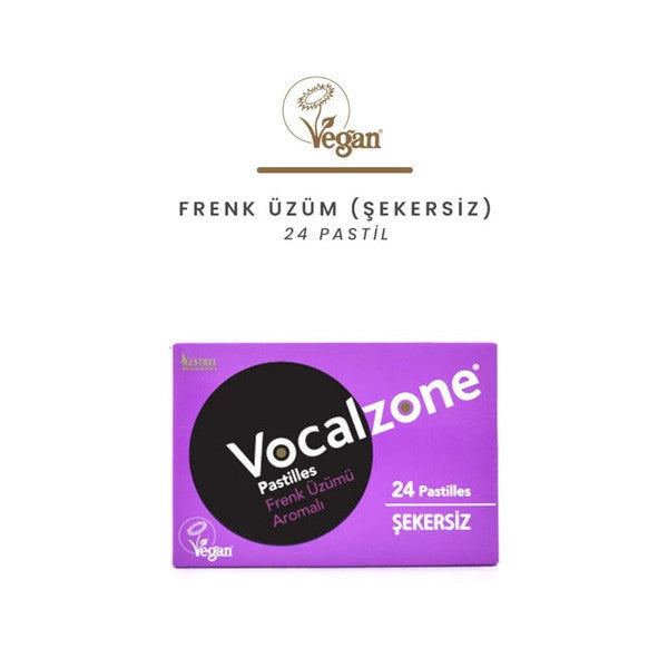 Vocalzone Blackcurrant Pastille 24 Pack