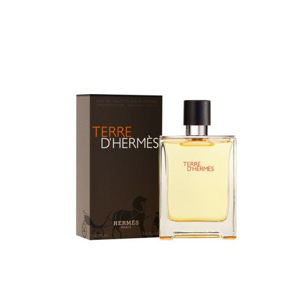 Hermes Terre D'hermes Edt 100 Ml Men's Perfume