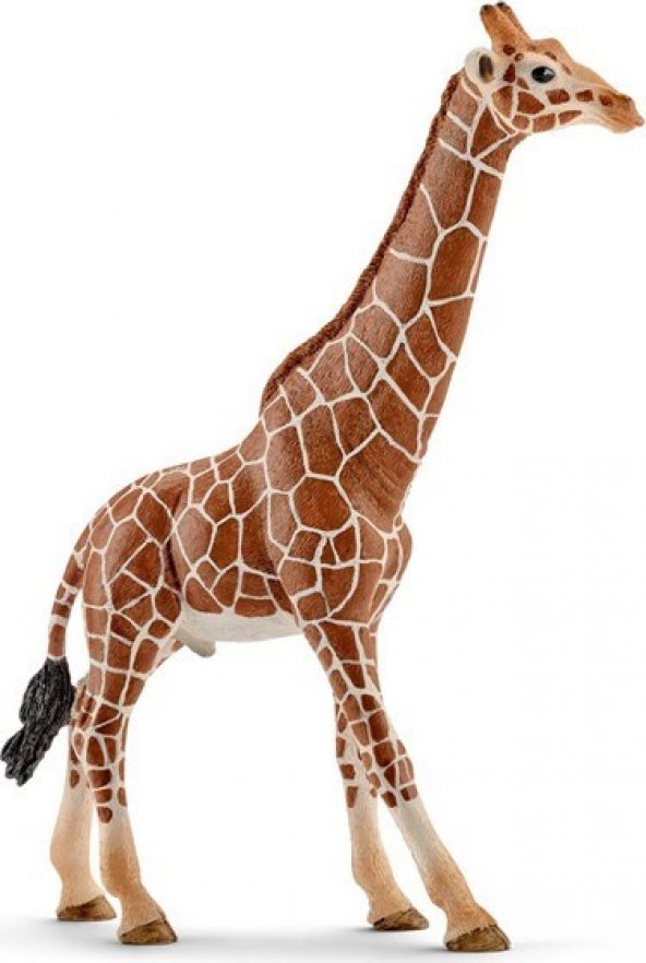 Schleich Male Giraffe 14749