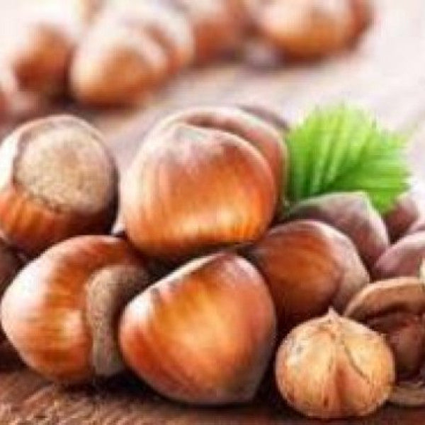 Raw Hazelnut (Shell) 1Kg